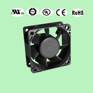 �՚⠎���������L��