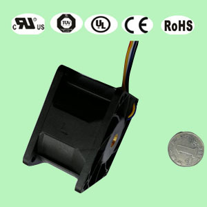 6038ɢ���L��